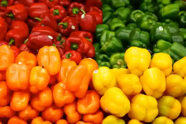 Red, yellow, orange, and green bell peppers – low in net carbs and full of flavor