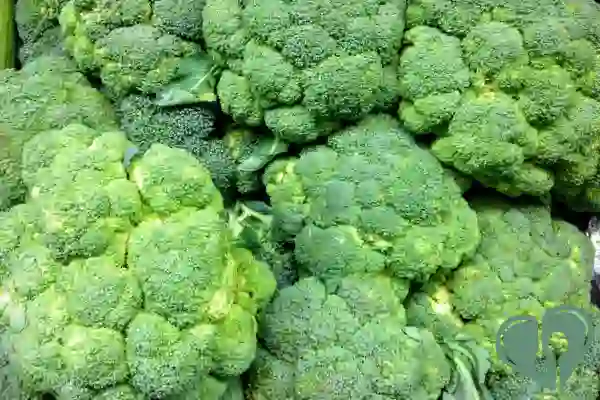 Fresh broccoli heads – low in net carbs and rich in fiber and antioxidants