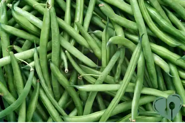 Fresh green beans – low-carb, gentle on digestion, and diabetic-friendly