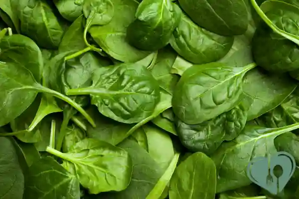 Fresh spinach leaves – low-carb, magnesium-rich, and blood sugar-friendly